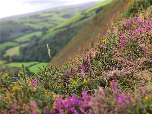 Exmoor National Park